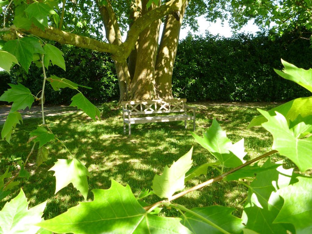 Bed and Breakfast Domaine Du Papillon Lesparre-Médoc Exterior foto