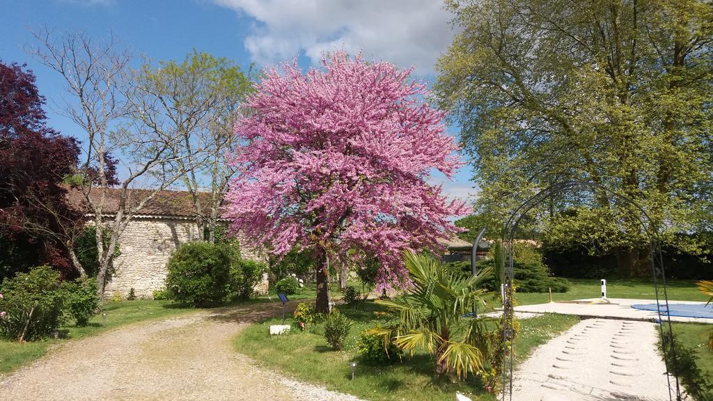 Bed and Breakfast Domaine Du Papillon Lesparre-Médoc Exterior foto